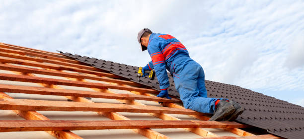 Best Gutter Replacement  in Ivey, GA